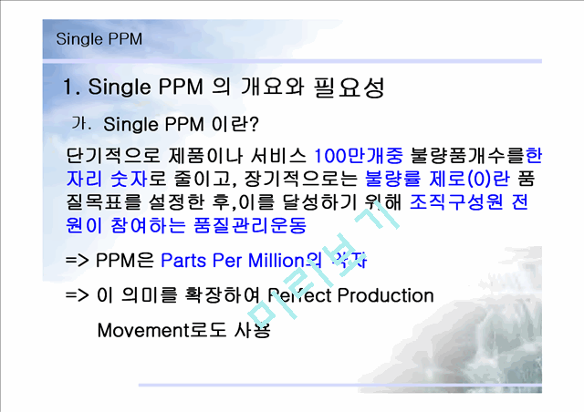 SINGLE PPM   (3 )